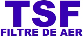 T.S.F.